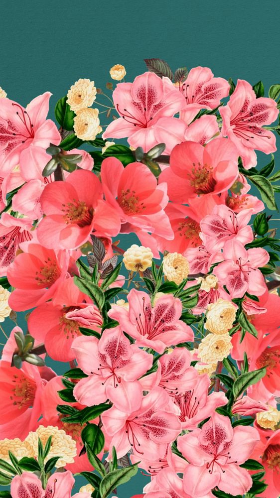 Spring azalea flowers phone wallpaper, pink botanical border background, editable design