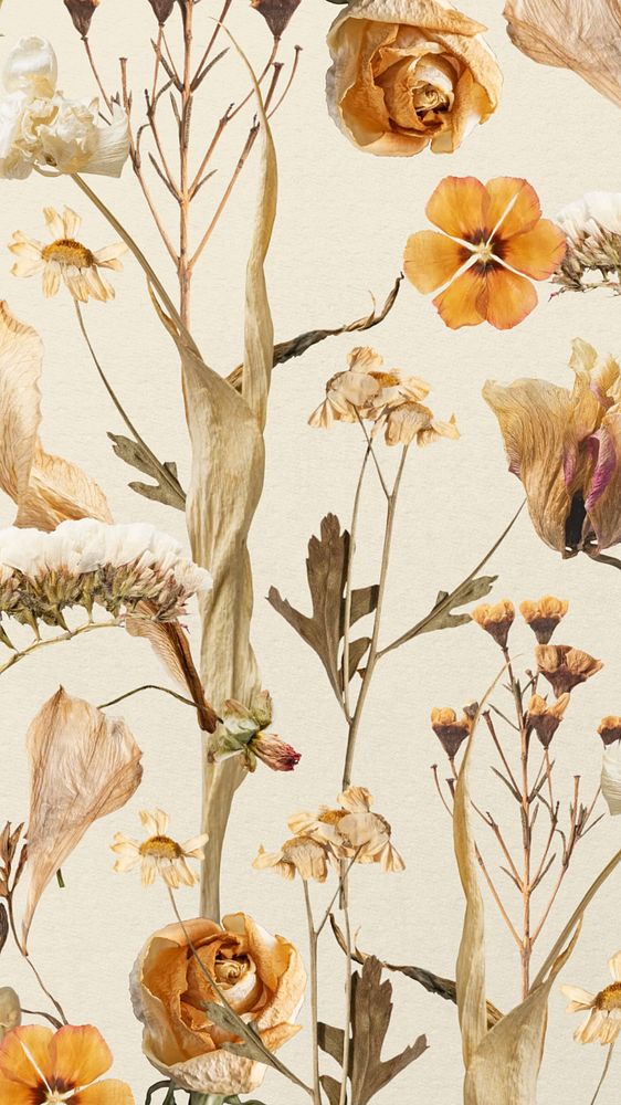 Aesthetic autumn flower phone wallpaper, seasonal botanical background, editable design