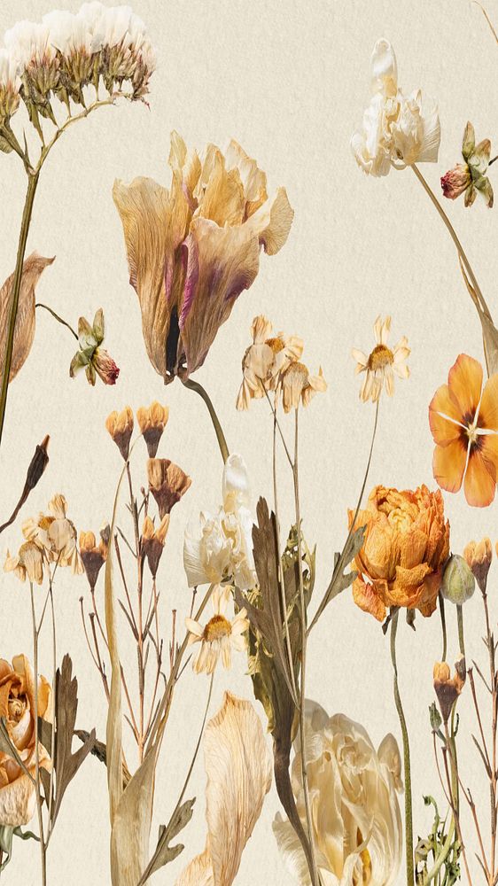 Aesthetic autumn flower phone wallpaper, seasonal botanical background, editable design