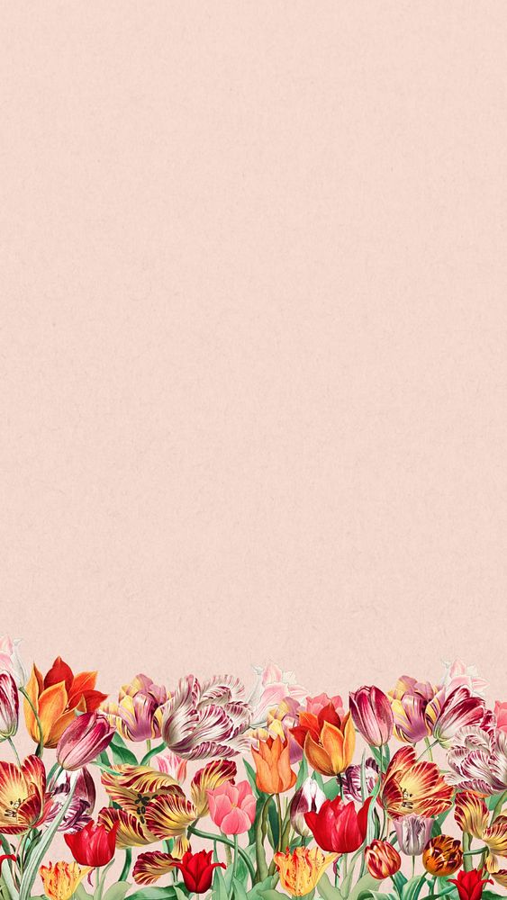 Pink exotic flowers phone wallpaper, colorful botanical border background, editable design