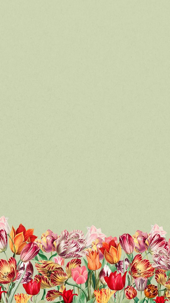 Green exotic flowers phone wallpaper, colorful botanical border background, editable design