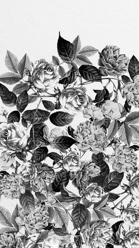 Wild roses iPhone wallpaper, black and white illustration, editable design