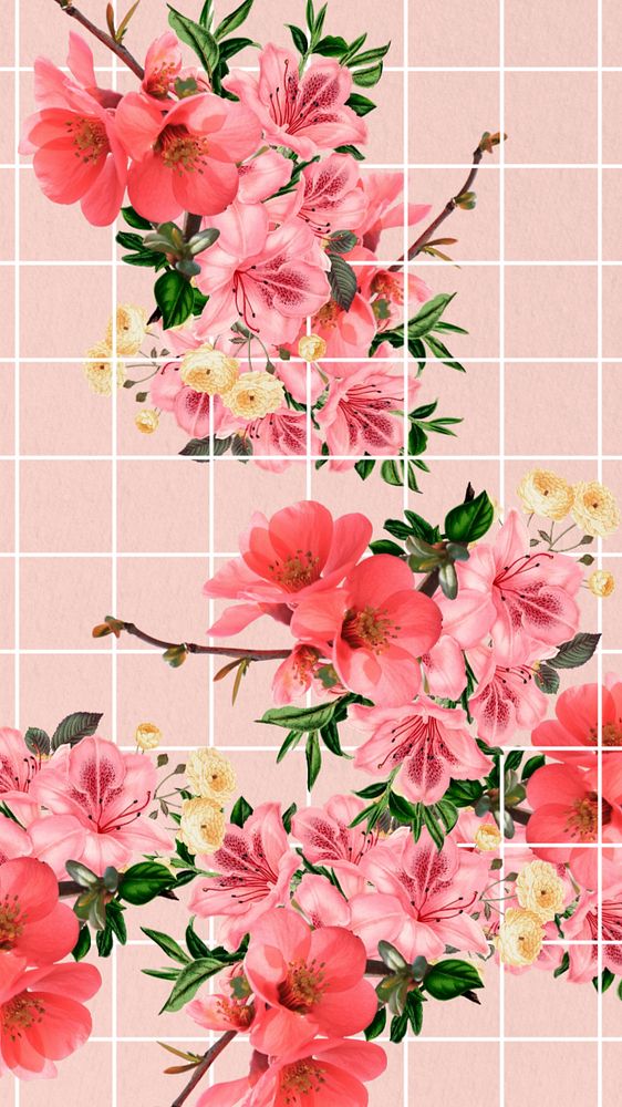 Chinese quince flower phone wallpaper, aesthetic grid background, editable design