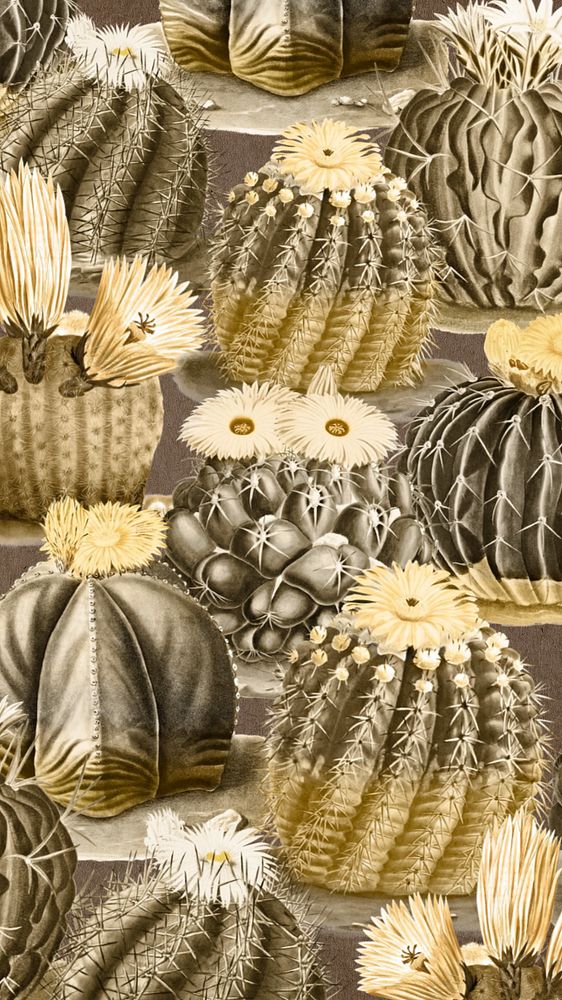 Cactus illustration vintage iPhone wallpaper, editable design