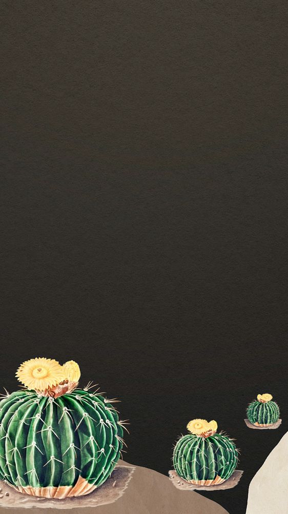 Cactus illustration iPhone wallpaper, editable design border