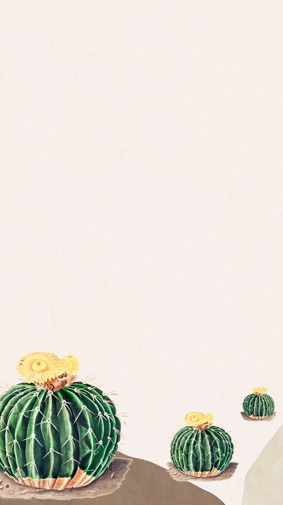 Cactus illustration aesthetic iPhone wallpaper, editable design