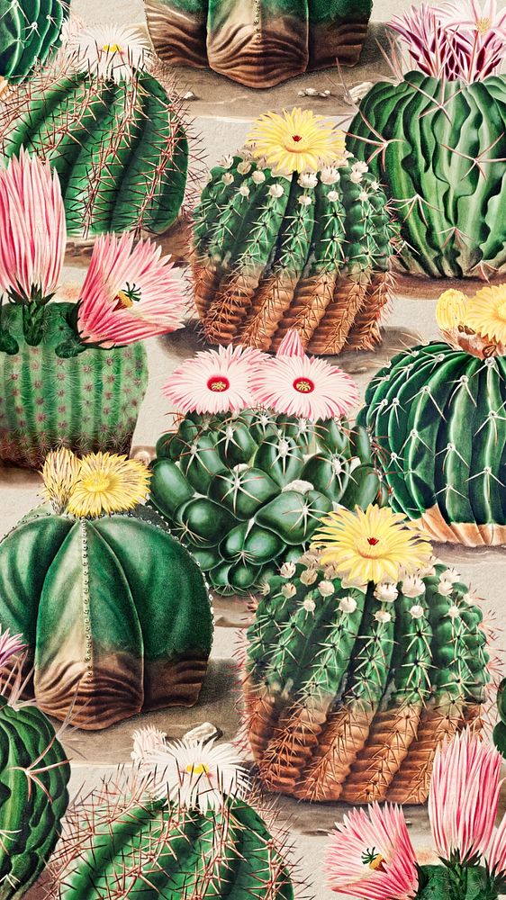 Cactus illustration green iPhone wallpaper, editable design