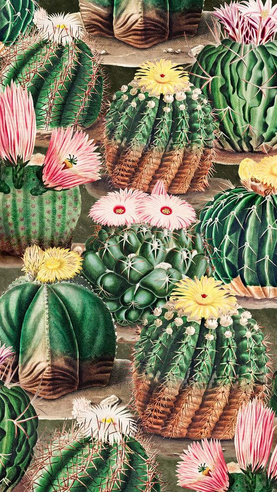 Cactus illustration green iPhone wallpaper, editable design