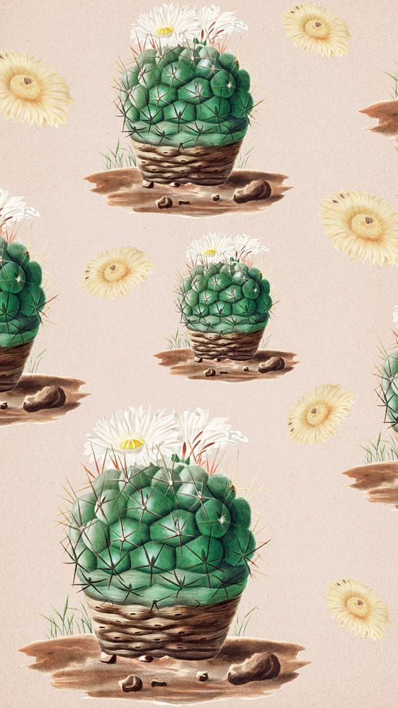 Cactus pattern iPhone wallpaper, editable design