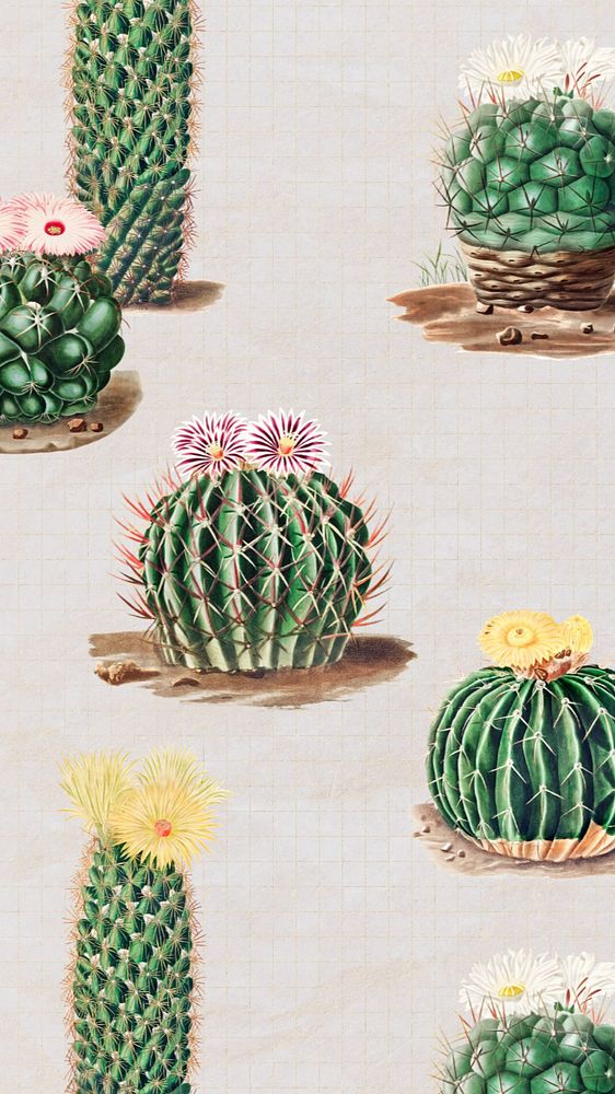 Cactus pattern iPhone wallpaper, editable design