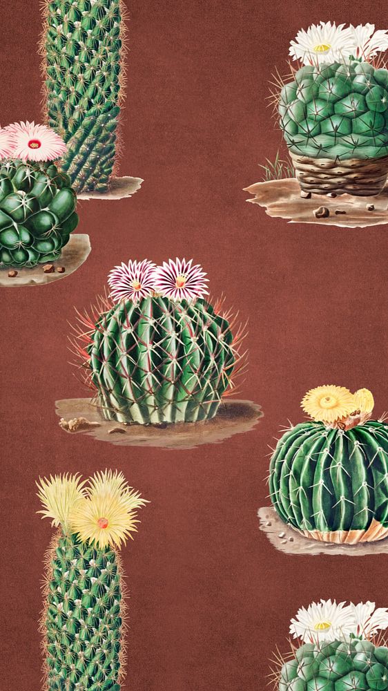 Cactus pattern iPhone wallpaper, editable design