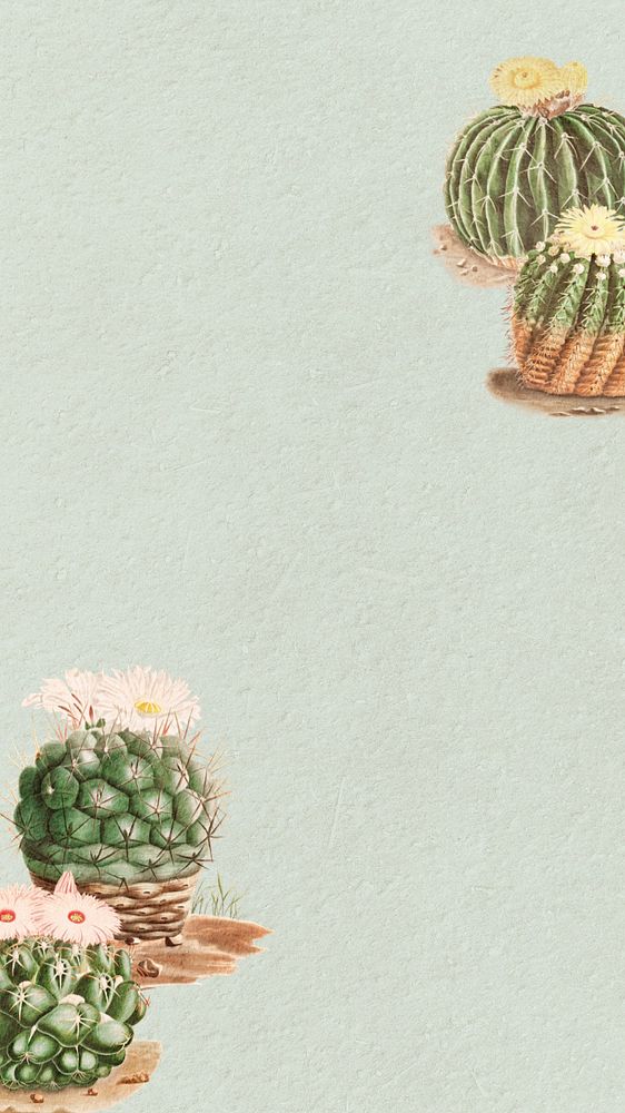 Cactus illustration green iPhone wallpaper, editable design