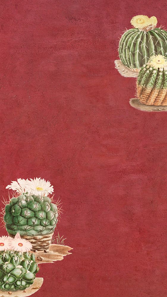 Cactus illustration red iPhone wallpaper, editable design