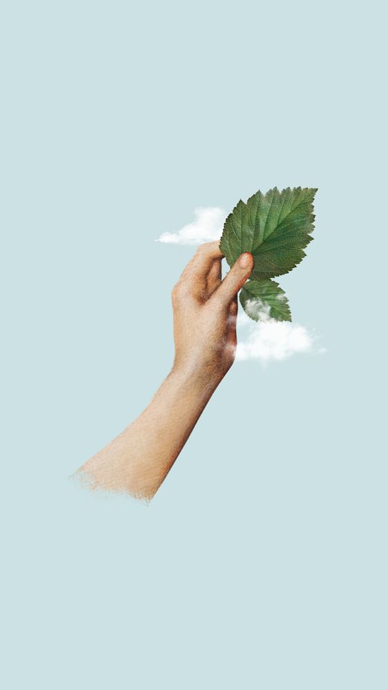 Hand holding leaf mobile wallpaper editable collage. Remixed by rawpixel.