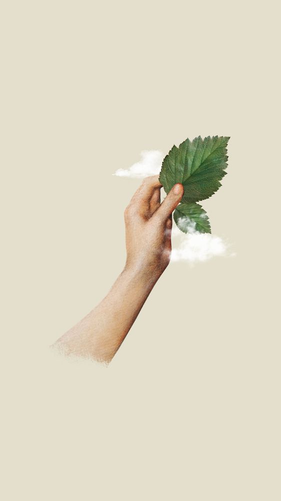 Hand holding leaf mobile wallpaper editable collage. Remixed by rawpixel.