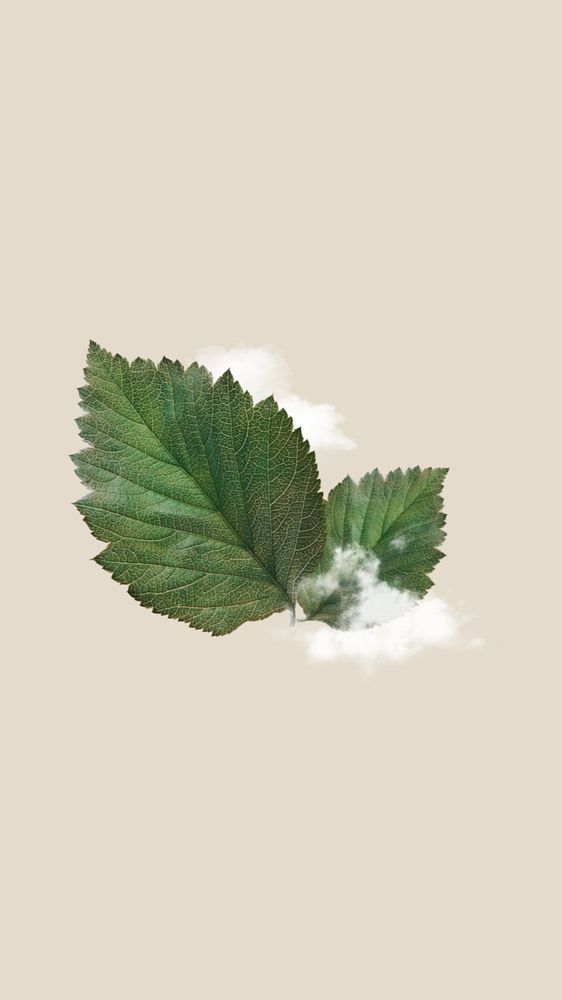 Clouded leaf mobile wallpaper editable collage. Remixed by rawpixel.