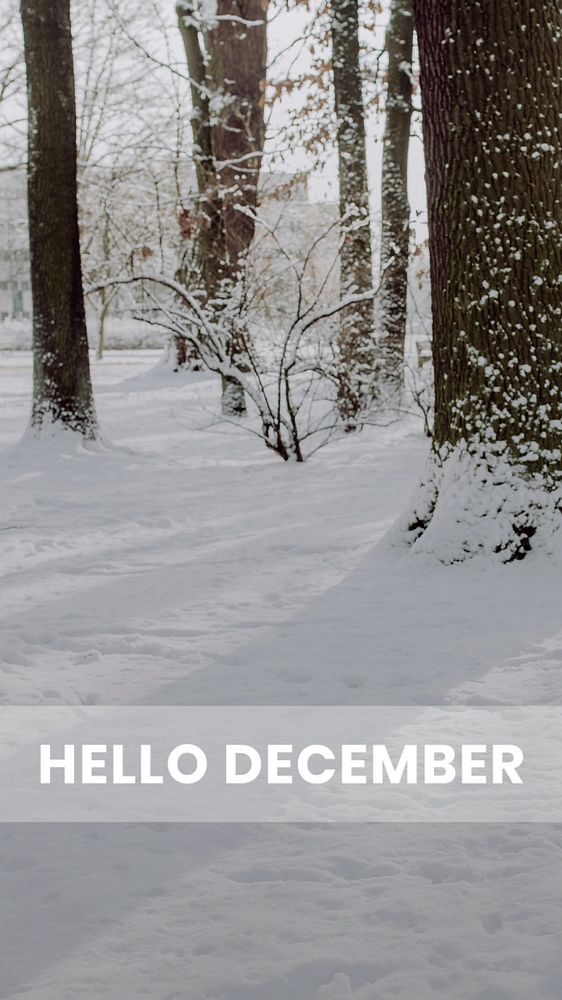 Hello December Instagram story template, editable design