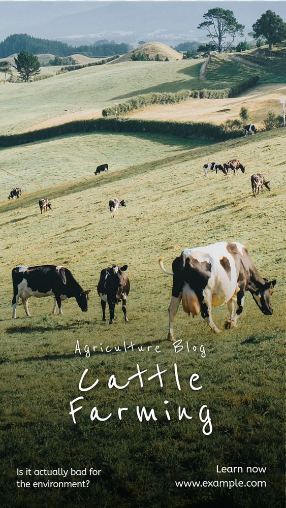 Cattle farming  Instagram story template, editable text