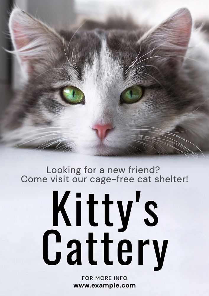 Cattery & shelter poster template, editable text and design