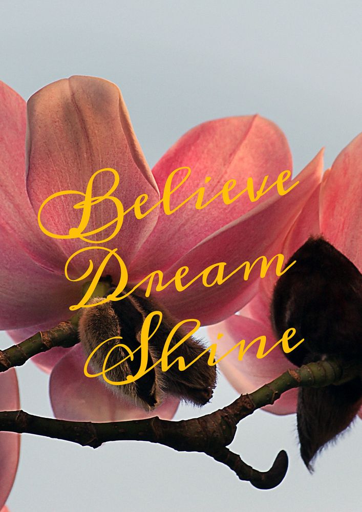 Believe dream shine poster template, editable text and design