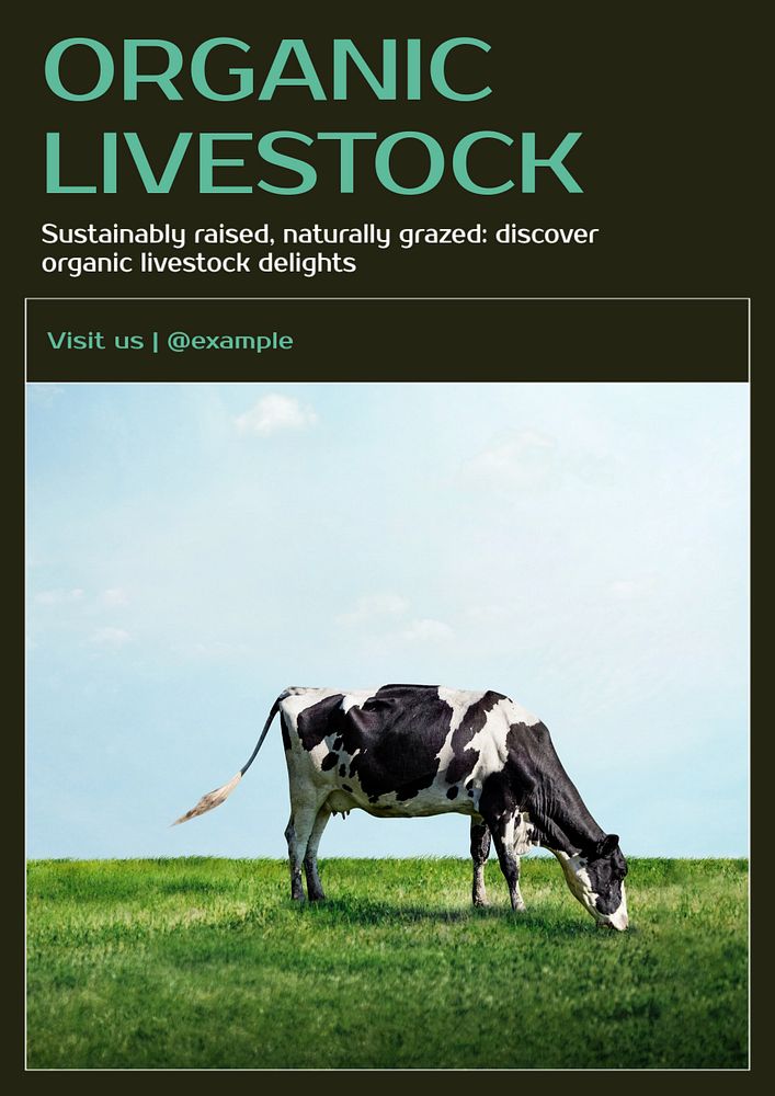 Organic livestock poster template, editable text and design