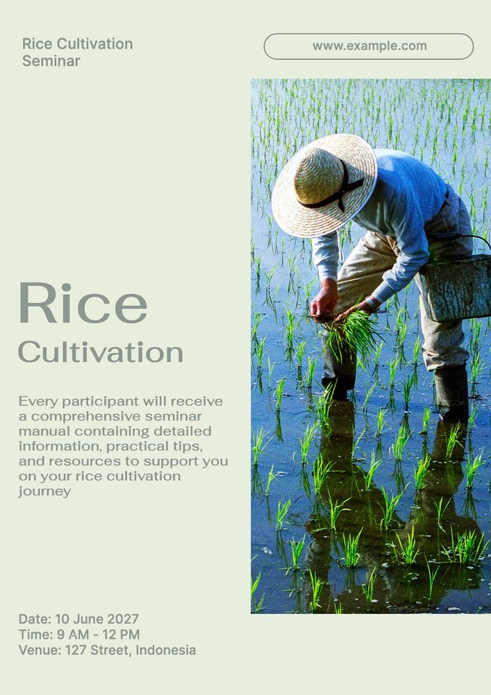 Rice cultivation  poster template, editable text and design