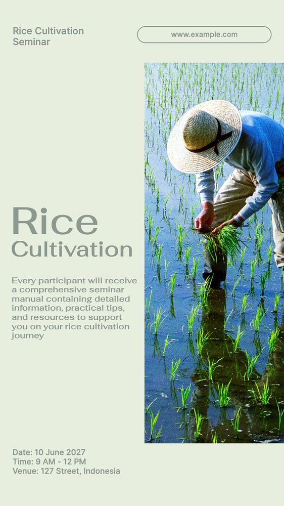 Rice cultivation  Instagram story template, editable text