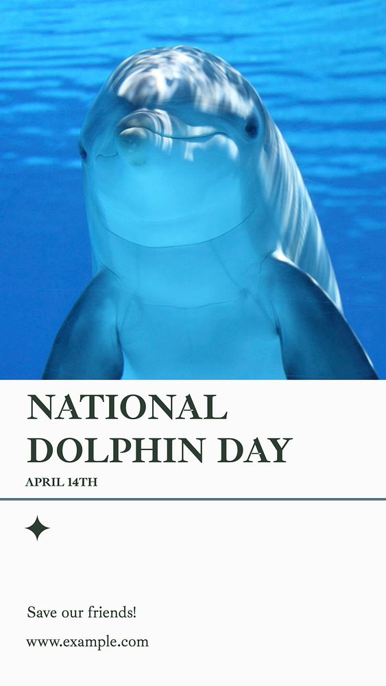 National dolphin day  Instagram story template, editable text