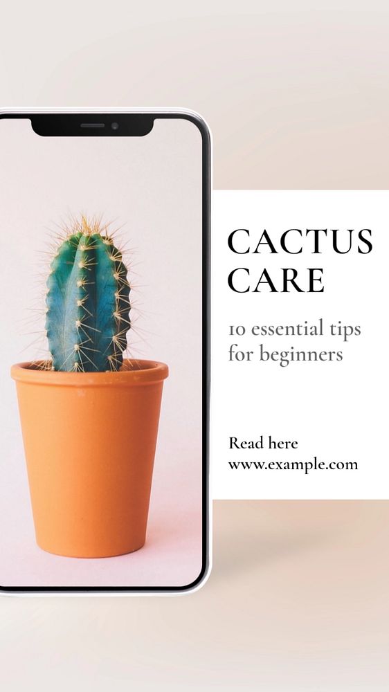 Cactus care  Instagram story template, editable text