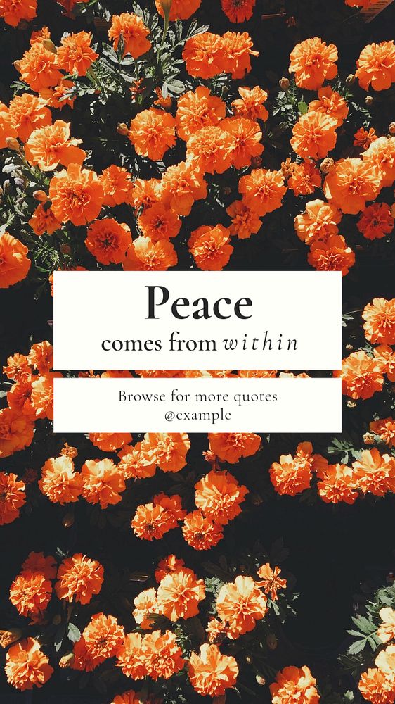 Peace Instagram story template, editable text