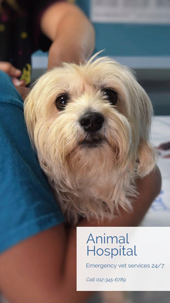 Animal hospital  Instagram story template, editable text