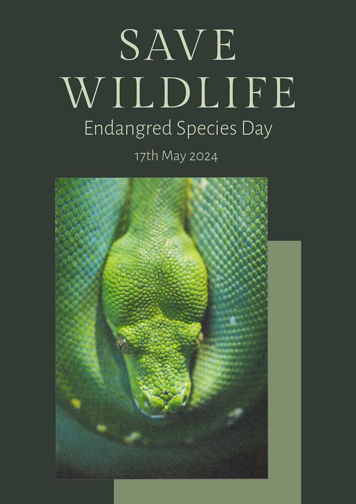 Save wildlife  poster template, editable text and design