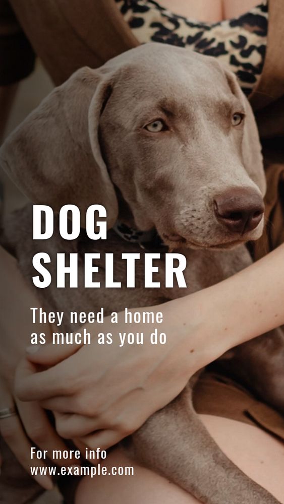 Dog shelter  Instagram story template, editable text