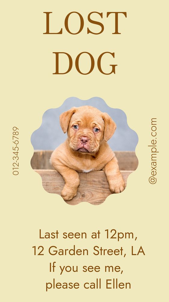 Lost dog Instagram story template, editable text