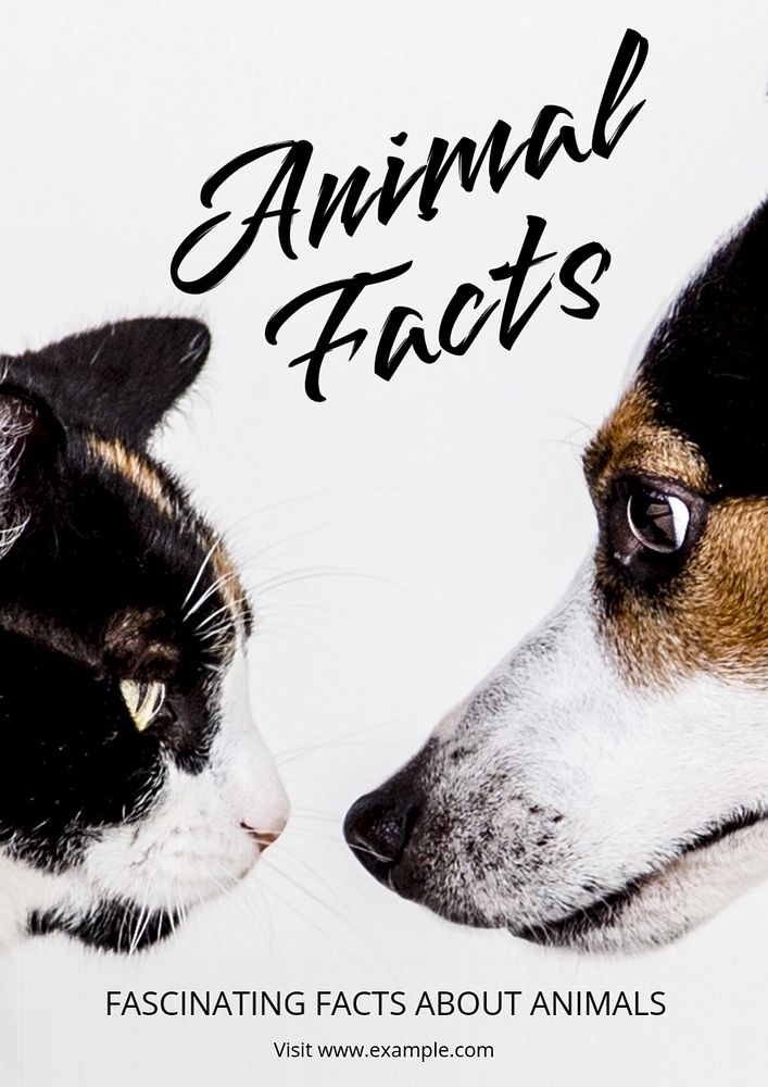 Animal facts poster template, editable text and design