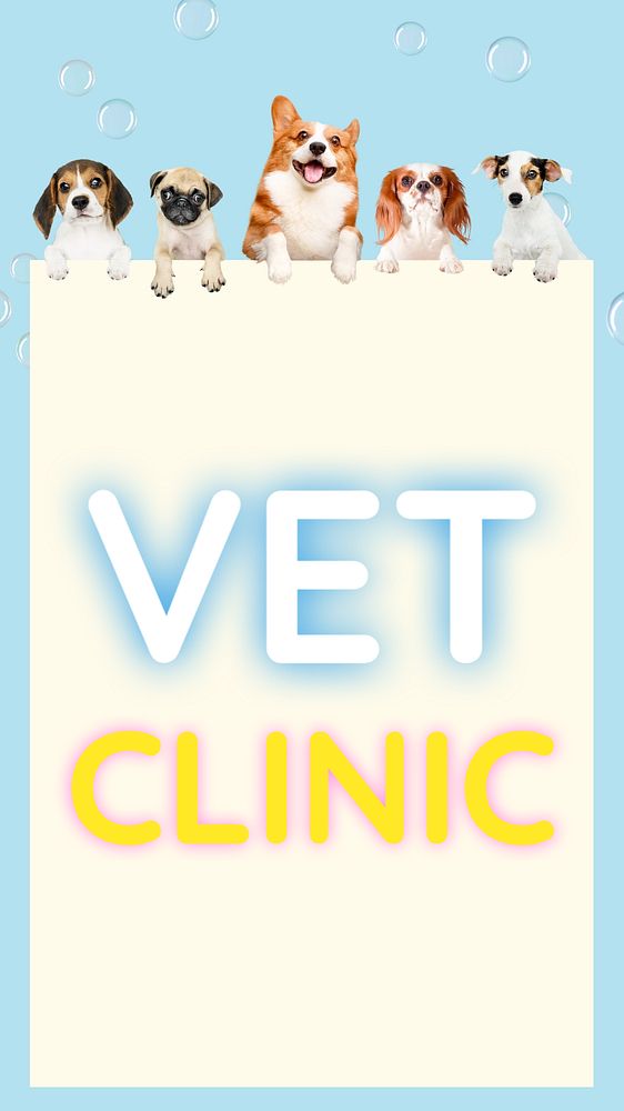 Vet clinic Instagram story template, editable text