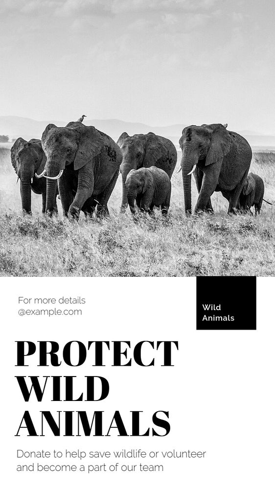 Protect wild animals  Instagram story template, editable text