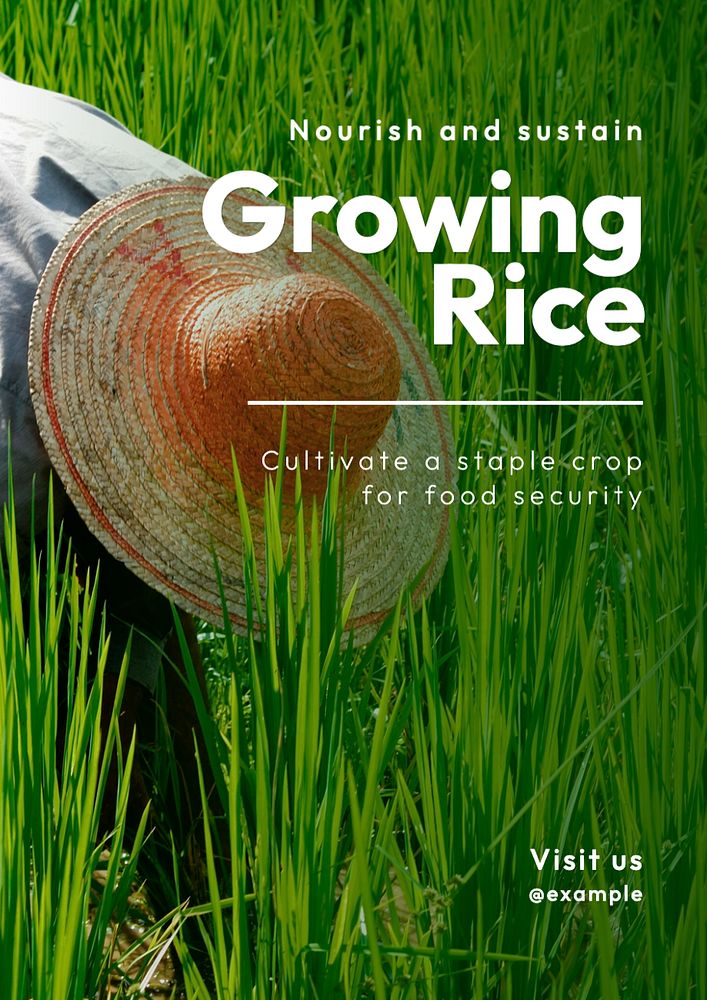 Rice  poster template, editable text and design