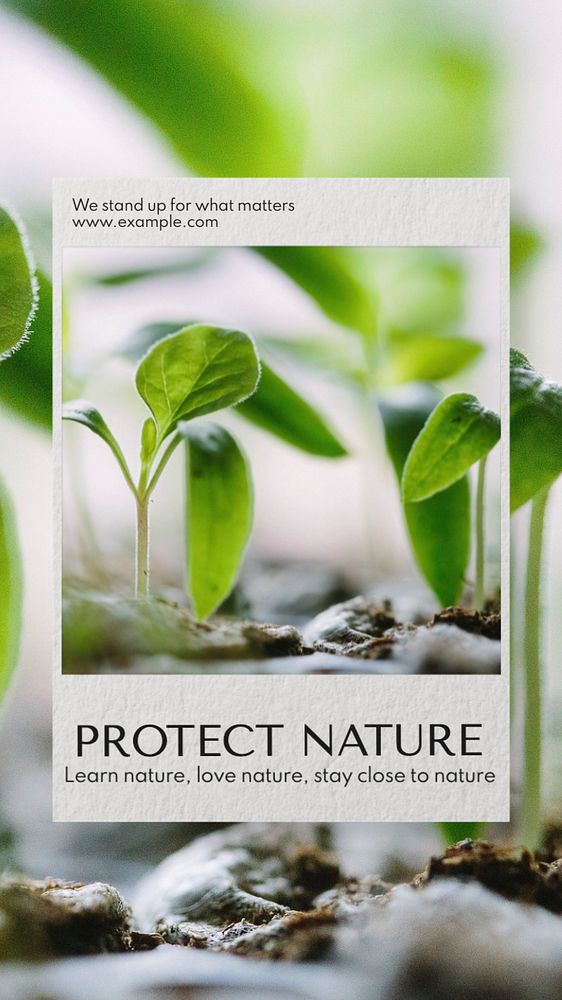 Protect nature Instagram story template, editable text