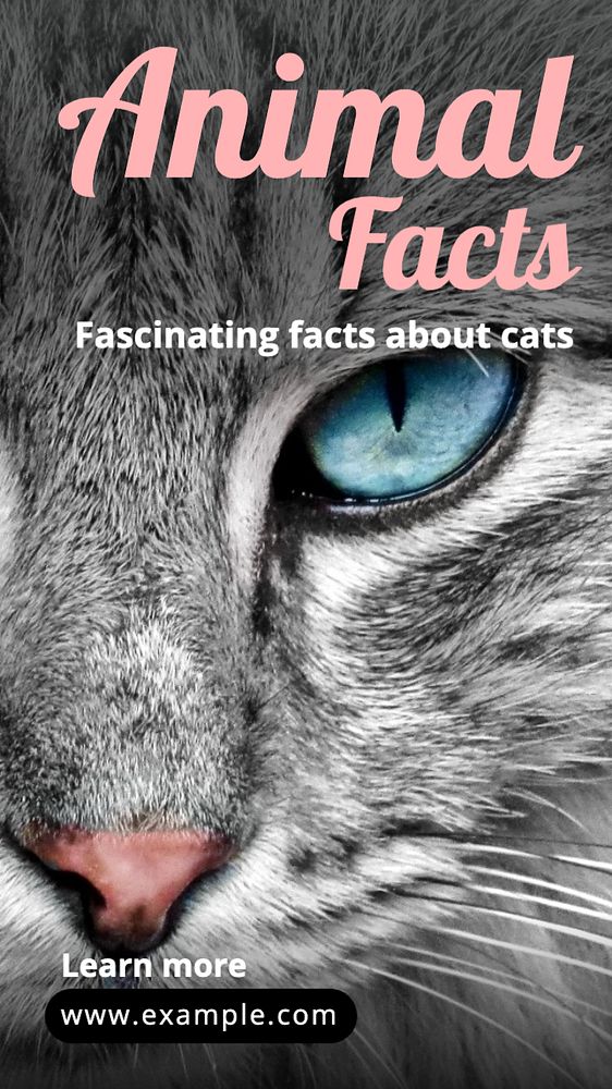 Animal facts Instagram story template, editable text