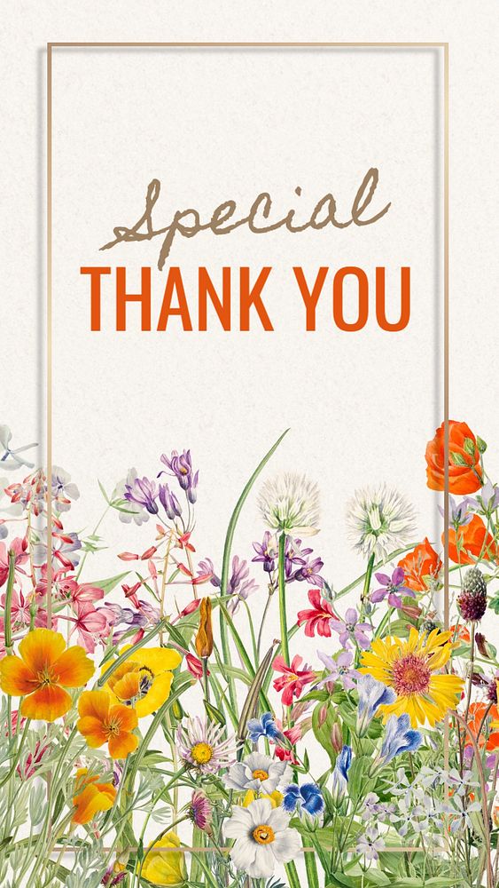 Special thank you Instagram story template, editable text