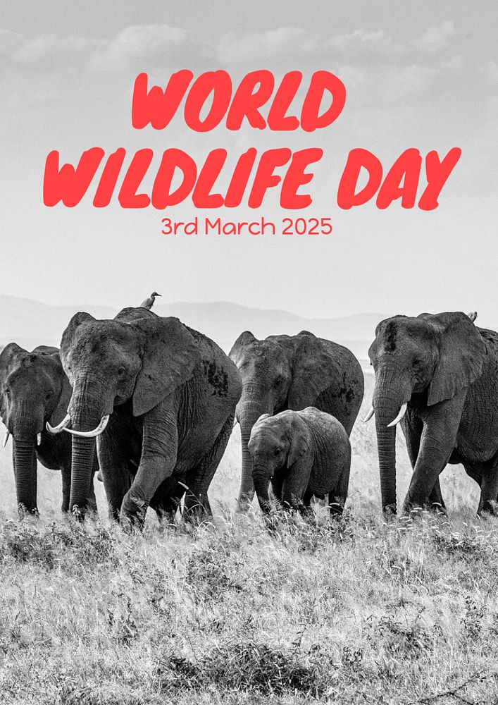 World wildlife day poster template, editable text and design