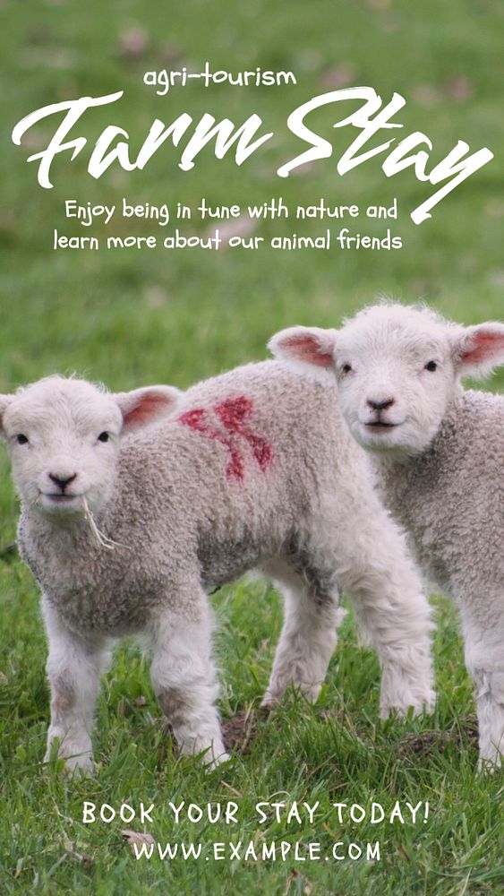 Farm stay  Instagram story template, editable text