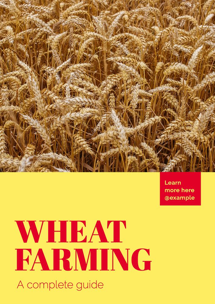 Wheat farming  poster template, editable text and design