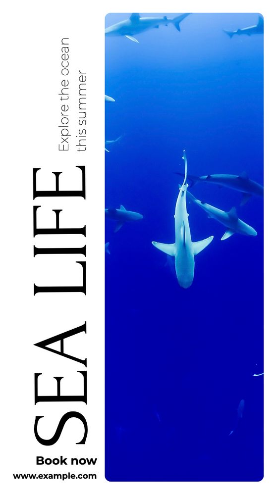 Sea life  Instagram story template, editable text