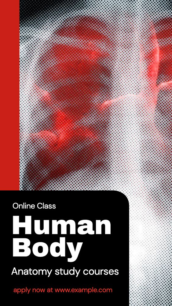 Anatomy class  Instagram story template, editable text