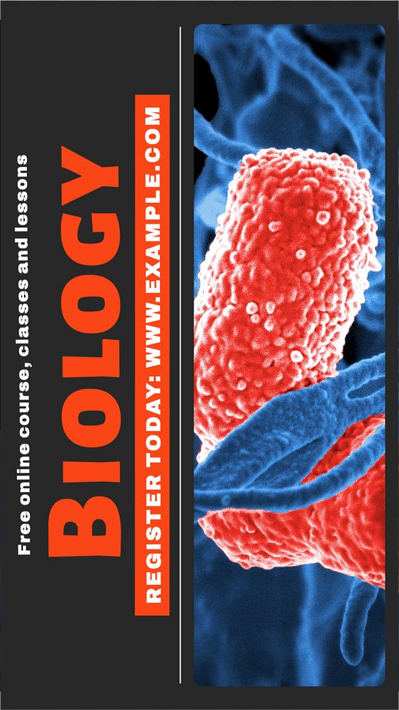 Biology course  Instagram story template, editable text