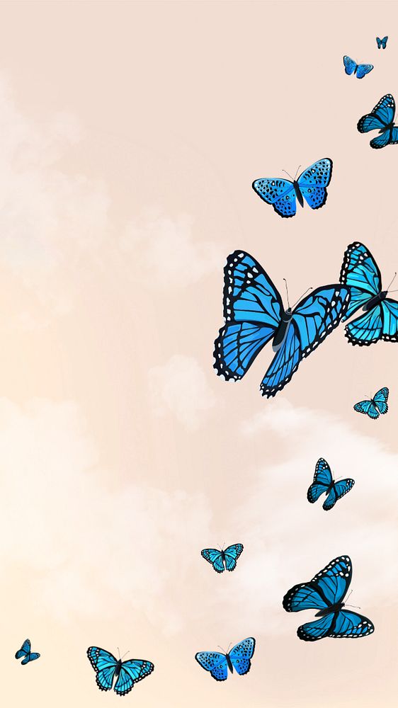 Editable butterfly sky   phone wallpaper