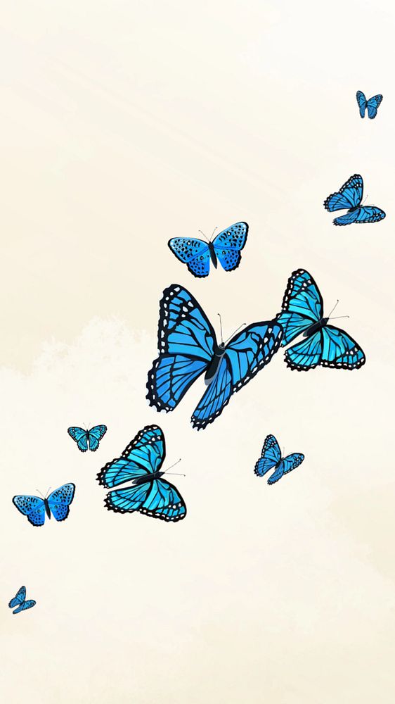 Editable butterfly sky   phone wallpaper