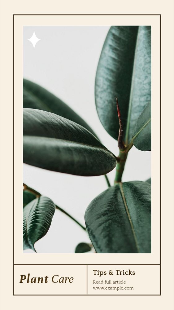 Plant care  Instagram story template, editable text